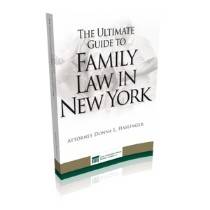 The Ultimate Guide to Family Law in New York